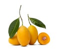 Yellow ripe Plum mango fruit with green leaf or Marian plum Royalty Free Stock Photo