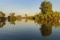 Yellow river billabong Royalty Free Stock Photo