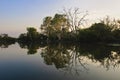 Yellow river billabong Royalty Free Stock Photo
