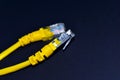 Yellow RJ-45 or ethernet internet cable on black background Royalty Free Stock Photo