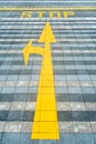 Yellow road marking on pave Royalty Free Stock Photo