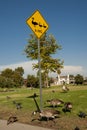 Yellow road sign with black graphic of a mother duck and two ducklings stating duck crossing Royalty Free Stock Photo