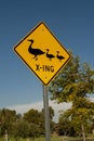 Yellow road sign with black graphic of a mother duck and two ducklings stating duck crossing Royalty Free Stock Photo