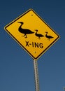 Yellow road sign with black graphic of a mother duck and two ducklings stating duck crossing Royalty Free Stock Photo