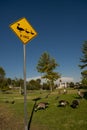 Yellow road sign with black graphic of a mother duck and two ducklings stating duck crossing Royalty Free Stock Photo