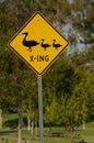 Yellow road sign with black graphic of a mother duck and two ducklings stating duck crossing Royalty Free Stock Photo