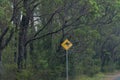 Yellow road sign with kangaroo silhouette. Road trip in Australia Royalty Free Stock Photo