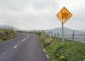 Yellow road sign with shopping cart