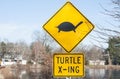 Yellow road sign about turtles