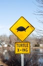 Yellow road sign about turtles