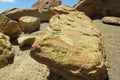 Yellow rocks with green moss Royalty Free Stock Photo