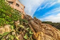 Yellow rocks by a rustic house Royalty Free Stock Photo