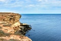 Yellow rocky seashore, cliff. Blue deep calm sea. Royalty Free Stock Photo