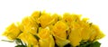 Yellow rose bouquet isolated. Royalty Free Stock Photo