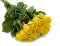 Yellow rose bouquet isolated. Royalty Free Stock Photo