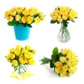 Yellow rose bouquet set Royalty Free Stock Photo