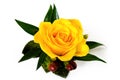 Yellow Rose Boutonniere With Autumn Accents