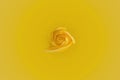 Yellow Rose centered background