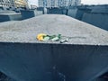 Yellow rose on a concrete structure at a memorial site