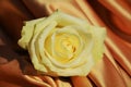 Yellow rose on an elegant fabric Royalty Free Stock Photo