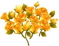 Yellow rose flower Royalty Free Stock Photo