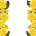 Yellow Rose Flower Frame Border. Isolated On White Background. Vector Illustration
