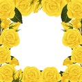 Yellow Rose Flower Frame Border. isolated on White Background. Vector Illustration Royalty Free Stock Photo