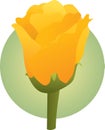 Yellow rose flower illustration