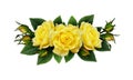 Yellow rose flowers arrangement