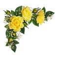 Yellow rose flowers in a corner arrangement Royalty Free Stock Photo