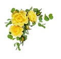 Yellow rose flowers with eucalyptus leaves Royalty Free Stock Photo