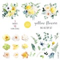 Yellow rose, hydrangea, white peony, lily, anemone, spring garden flowers Royalty Free Stock Photo