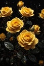 Yellow rose isolated on black with water drops. ai generative Royalty Free Stock Photo