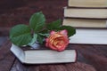 Yellow rose lays on the book