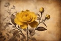 Yellow rose on old paper background with copy space for text or image Royalty Free Stock Photo