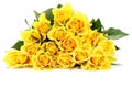 Yellow roses Royalty Free Stock Photo