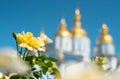 Yellow roses against background of the golden domes of the Orthodox Church Royalty Free Stock Photo