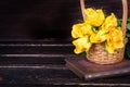 Yellow roses in a basket, vintage book on wooden background. Free space for your text Royalty Free Stock Photo