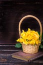 Yellow roses in a basket, vintage book on wooden background. Free space for your text Royalty Free Stock Photo