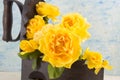 Yellow roses bouquet in a vintage iron as vase against blue back