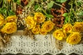 Yellow roses,dry branches and white lace border,covered with amber beads on a black background Royalty Free Stock Photo