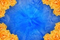 yellow roses flower bouquet on four corners on blue roses flower and blue speed on blur roses flower background, fashion, nature,