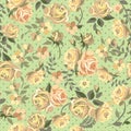 Yellow roses on green background