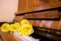 Yellow roses lie on black and white keyboard of old piano. Royalty Free Stock Photo