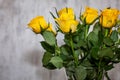 Yellow roses on light background Royalty Free Stock Photo