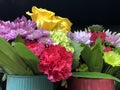 Spring flowers arranged in cups Royalty Free Stock Photo