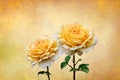 Yellow roses, spring and summer flowers closeup. Still life on vintage background