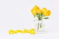 Yellow roses in square vase bottle and flowers petals on white background Royalty Free Stock Photo