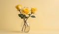 Yellow roses in a vase on a yellow background with copy space. Generative AI Royalty Free Stock Photo