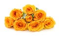 Yellow roses in white background